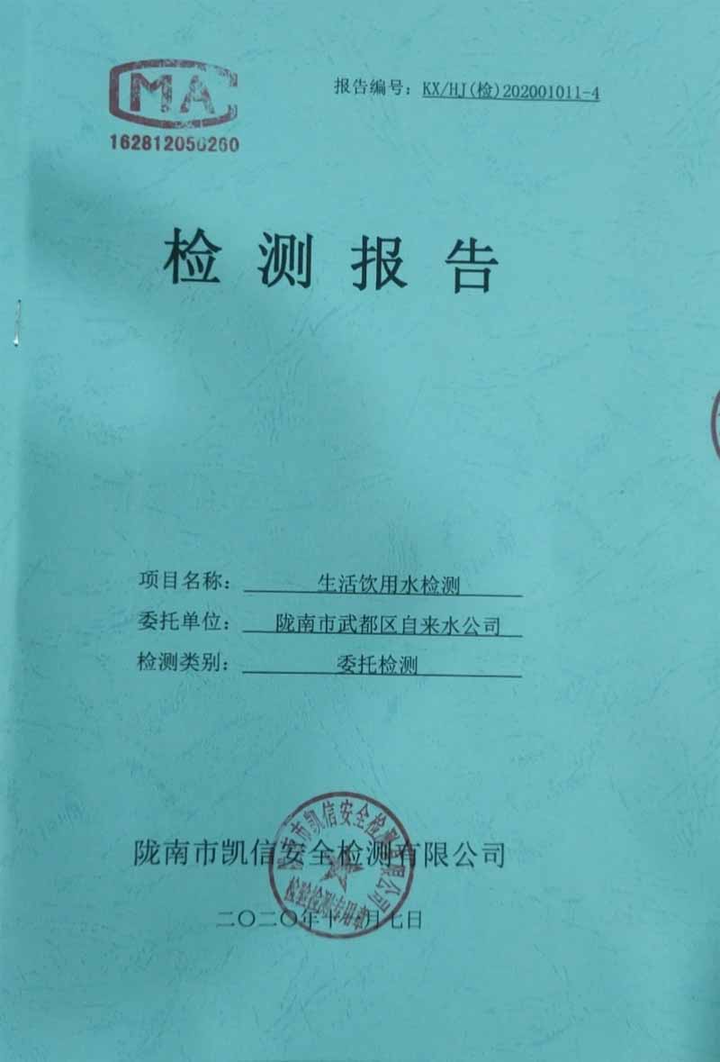 2020年11月7日武都城區飲用水檢測報告